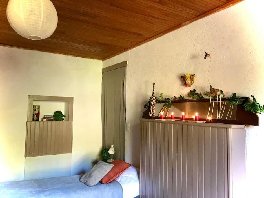 Maison Des Sequoias - Parc 1 Hectare- Veyrac المظهر الخارجي الصورة